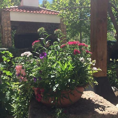 Casas Rurales La Huerta Hotel Salobre  Екстериор снимка