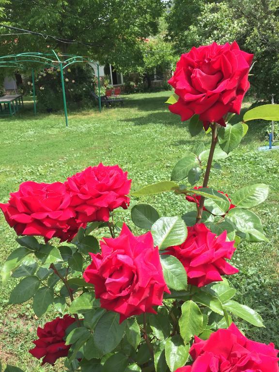 Casas Rurales La Huerta Hotel Salobre  Екстериор снимка