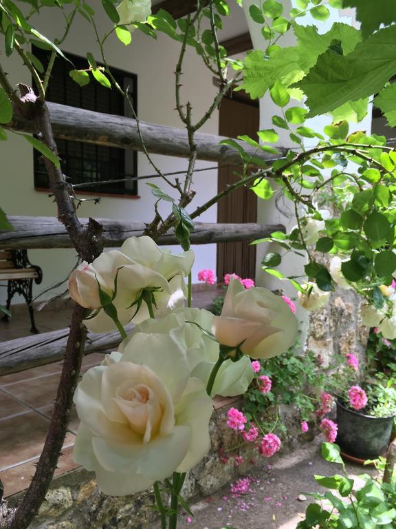 Casas Rurales La Huerta Hotel Salobre  Екстериор снимка